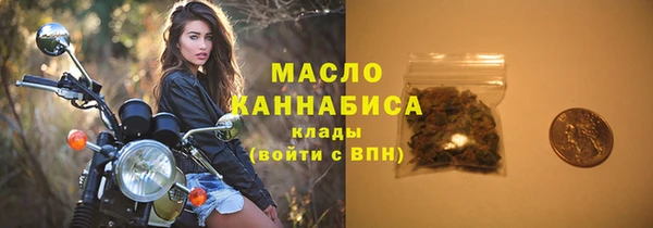 spice Богородицк