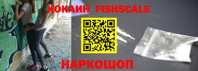 бошки Кингисепп