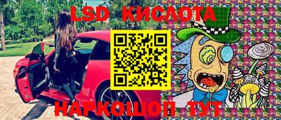 бошки Кингисепп
