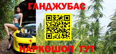 бошки Кингисепп