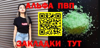 бошки Кингисепп
