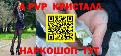 бошки Кингисепп
