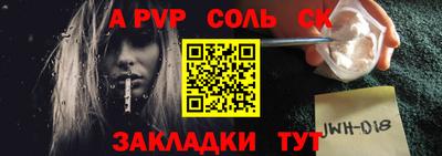 бошки Кингисепп
