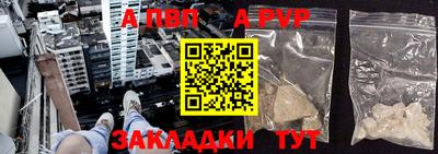 бошки Кингисепп