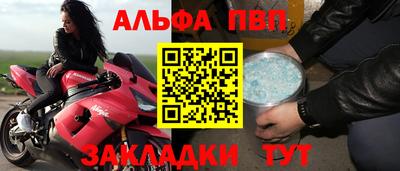 бошки Кингисепп