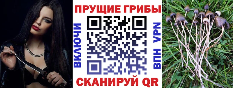 Галлюциногенные грибы MAGIC MUSHROOMS  Вологда 