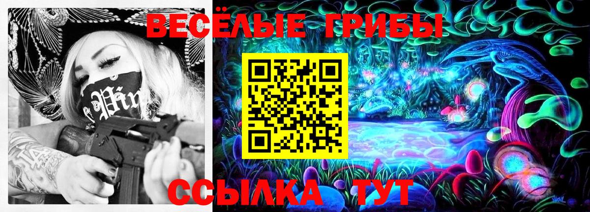 Псилоцибиновые грибы Cubensis  Вологда 